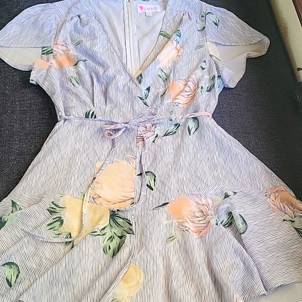 Blue stripe floral romper L